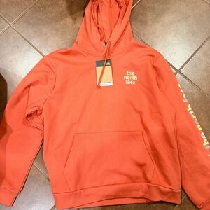 The North Face Evolution Proud Graphic Hoodie
